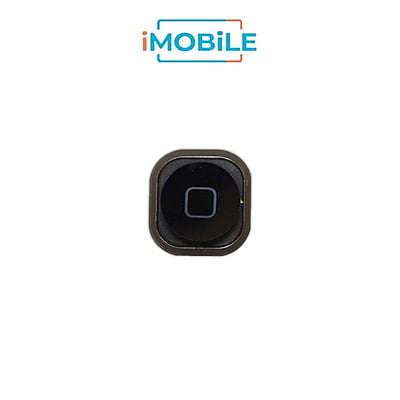 iPod Touch 5 Compatible Home Button