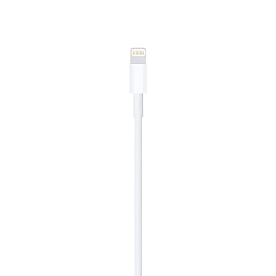 Apple Original 1m USB to Lightning Cable Apple Original 1m USB to Lightning Cable